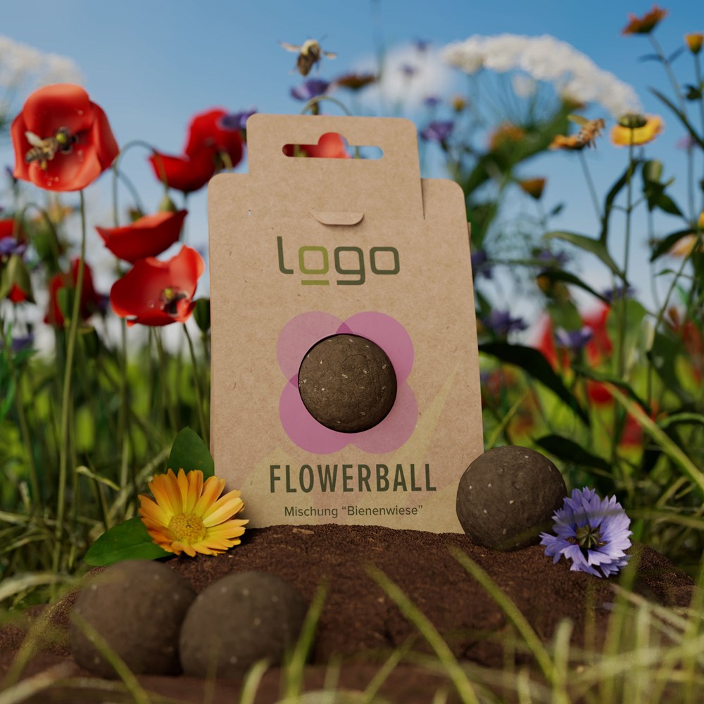 BIO Seedbomb - Flower-Ball "Bienenwiese"braun
